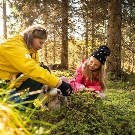 Koli Freetime Cottages Ahmovaara Ngoại thất bức ảnh