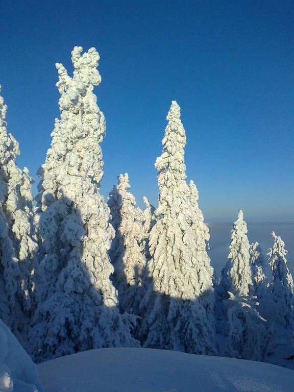 Koli Freetime Cottages Ahmovaara Phòng bức ảnh